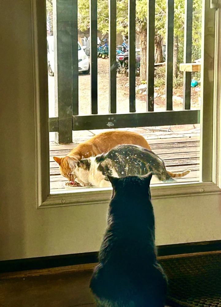 GIF uploaded by Jessica