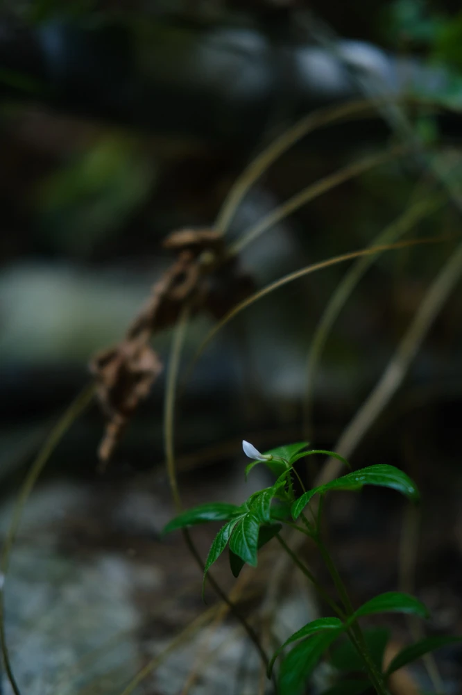 Image uploaded by Alo