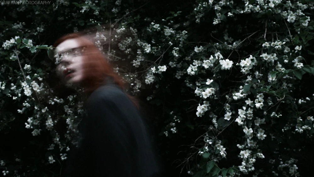 Image uploaded by Alex