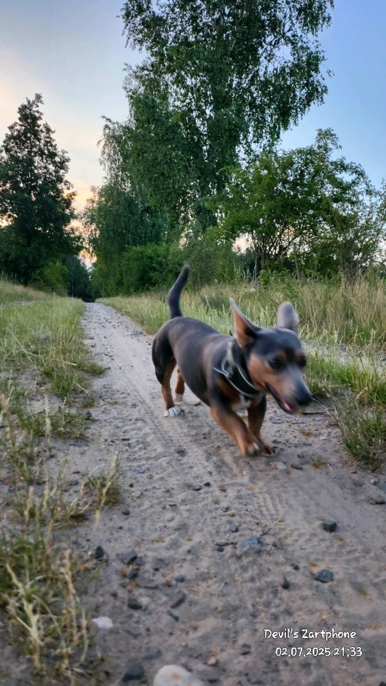 Bild hochgeladen von Devil