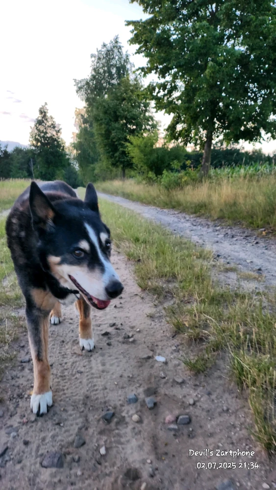 Bild hochgeladen von Devil