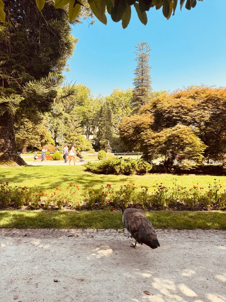 GIF uploaded by Hemail