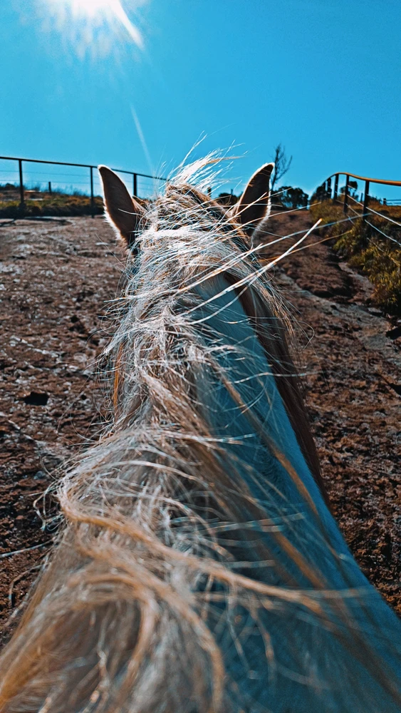 GIF uploaded by Debbie