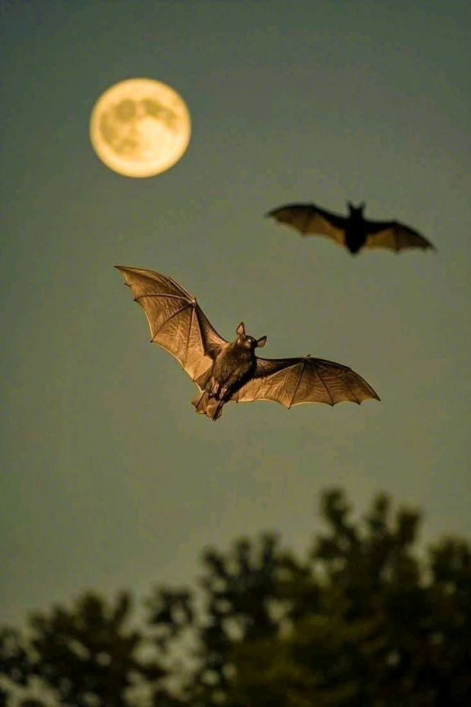 GIF uploaded by ꓄ђ