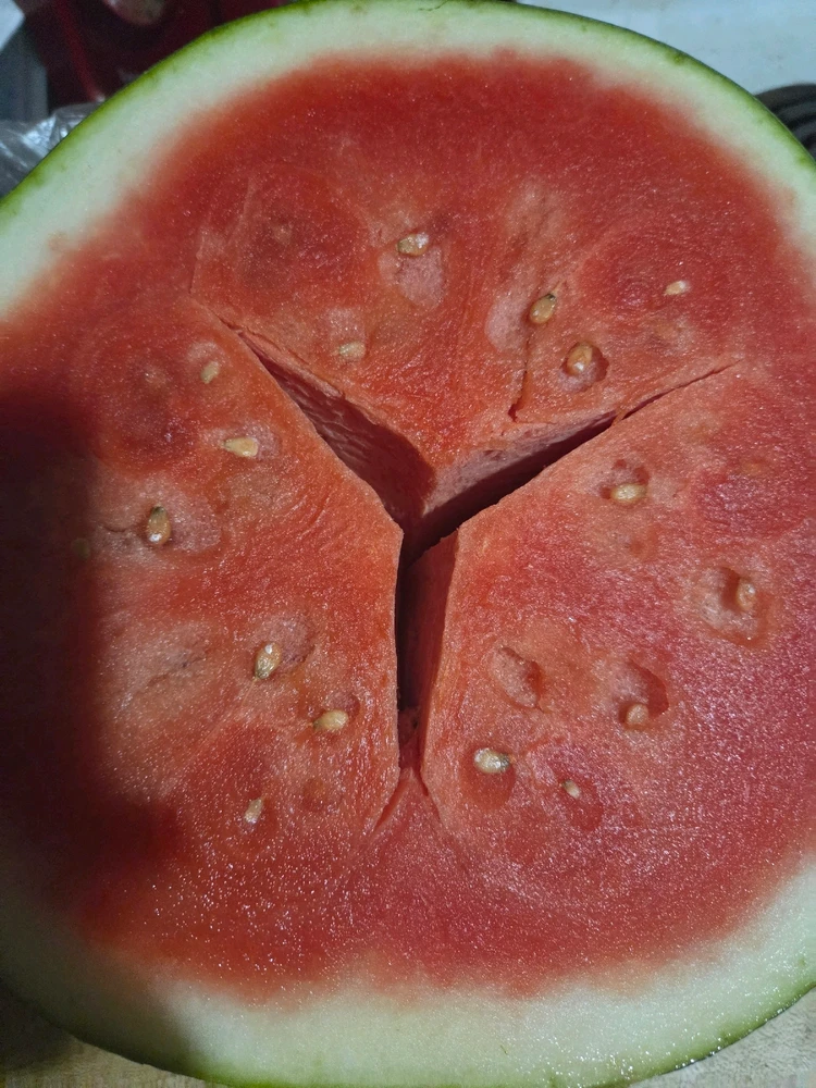 Is watermelon supposed to look like this?