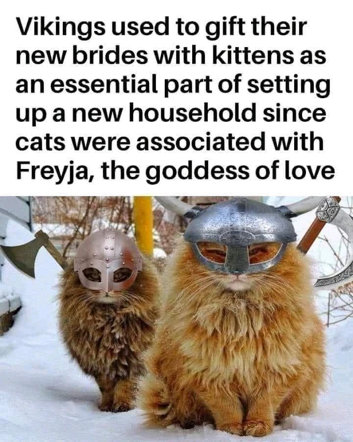 GIF uploaded by Anya