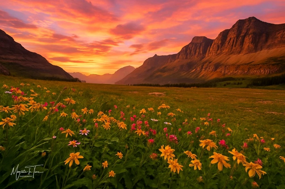 GIF uploaded by 📍 Dee Adventures 📍