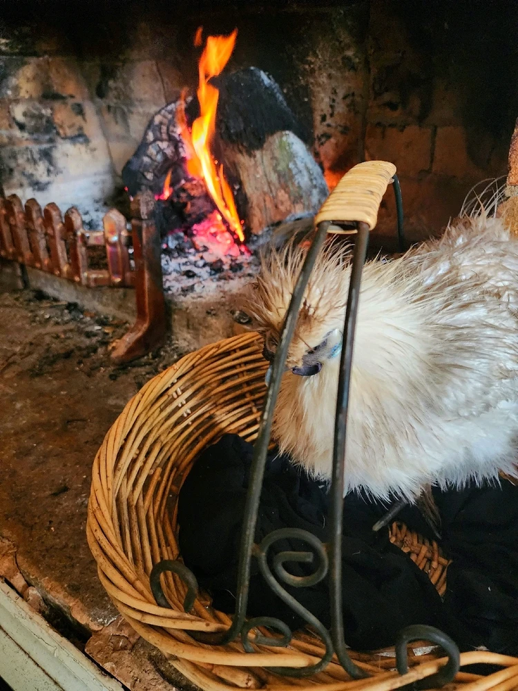 GIF uploaded by Valentin