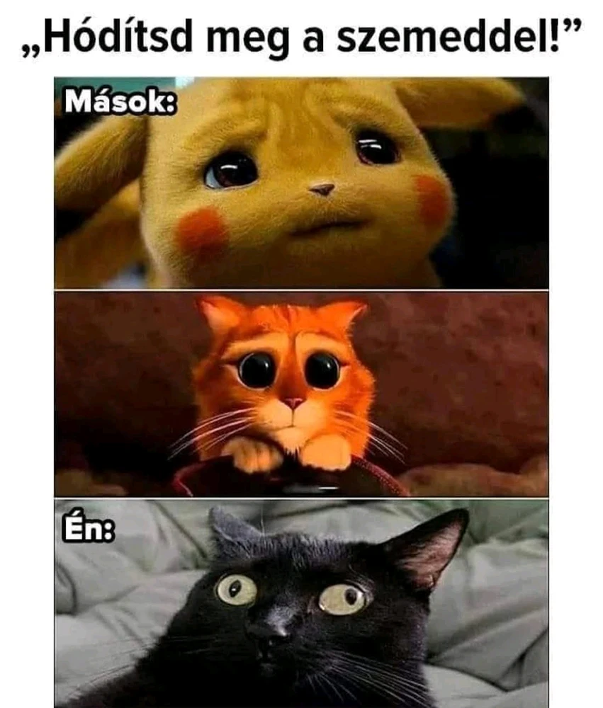 Luca által feltöltött GIF