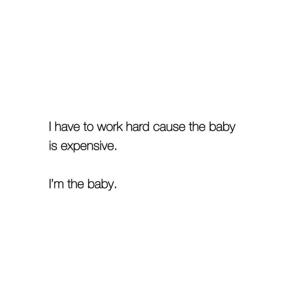 GIF uploaded by laine ♒️