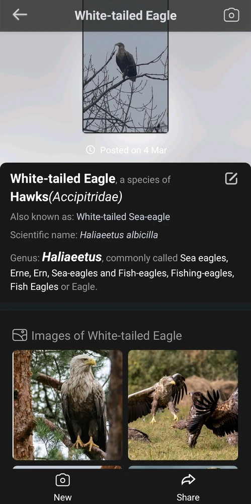 Image uploaded by Pati