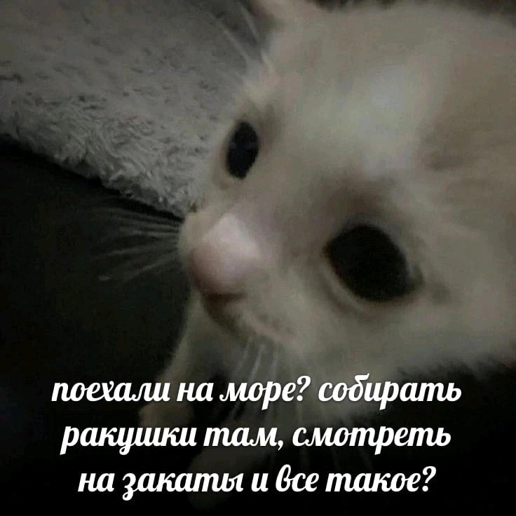 GIF загрузил Juliya