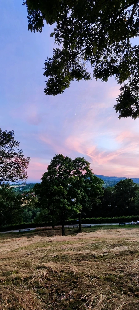 Image uploaded by Daniil