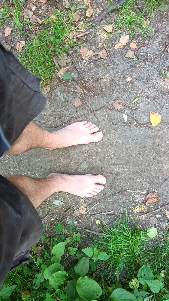 Obrázek nahrál Jan Horák