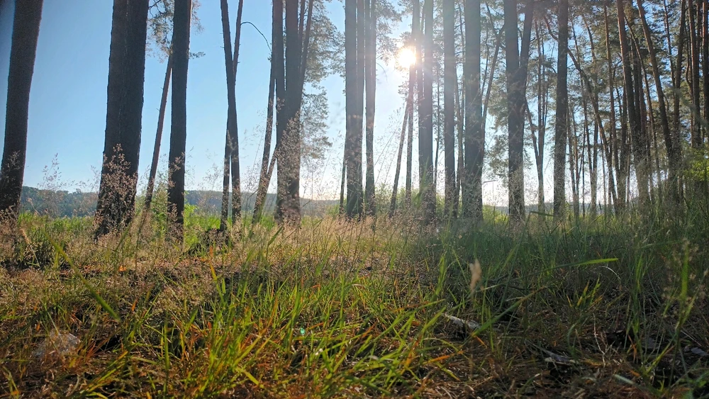 Obrázek nahrál Jan Horák