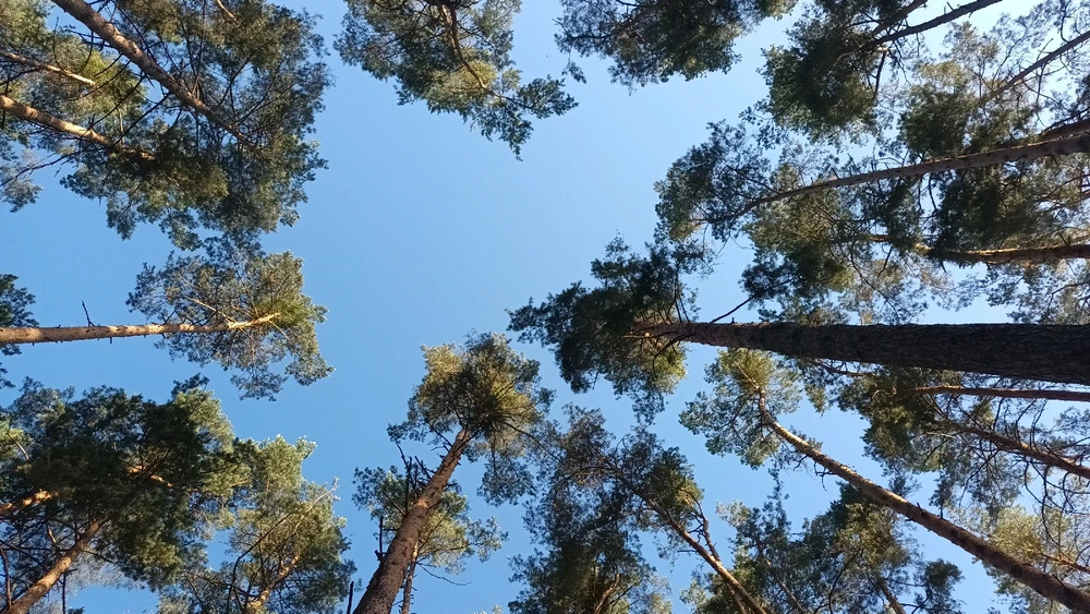 Obrázek nahrál Jan Horák