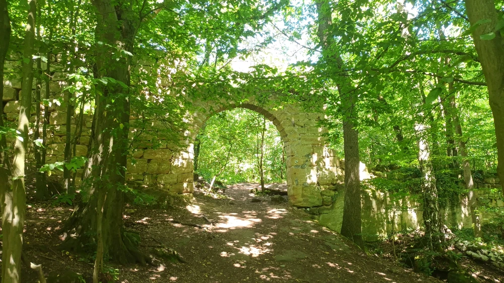 Obrázek nahrál Jan Horák