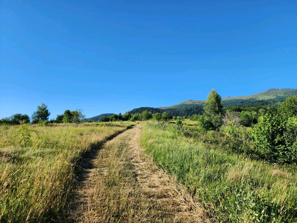 Зображення завантажив Вікторія