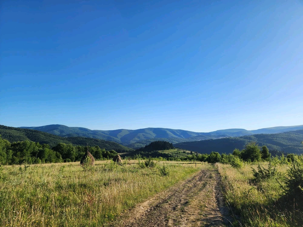 Зображення завантажив Вікторія