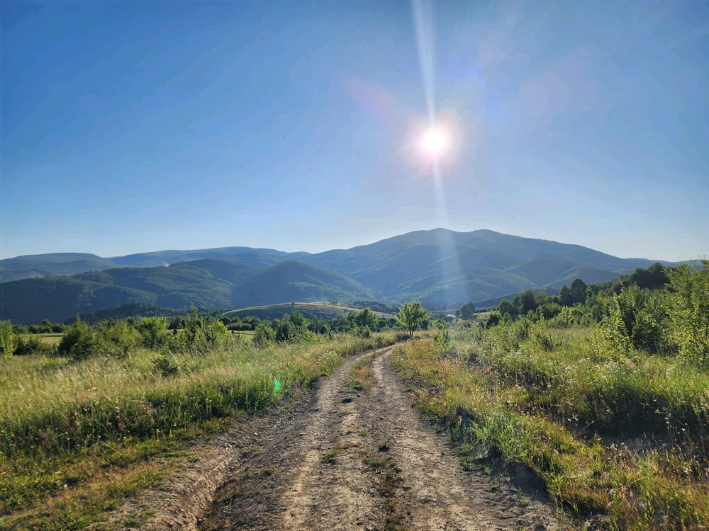 Зображення завантажив Вікторія
