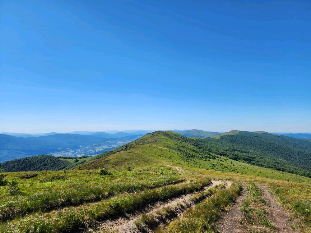 Зображення завантажив Вікторія