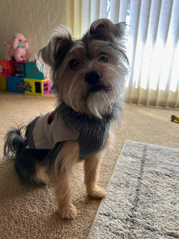 Image uploaded by Sol