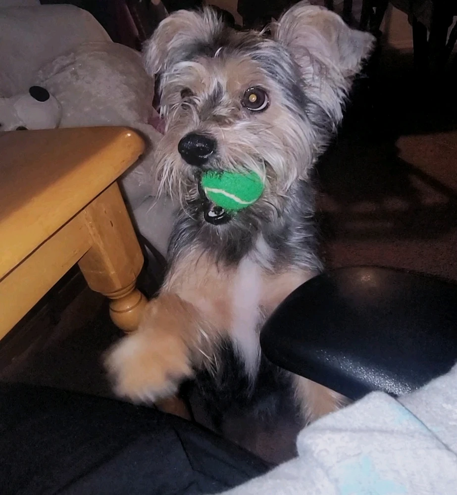 Image uploaded by Sol