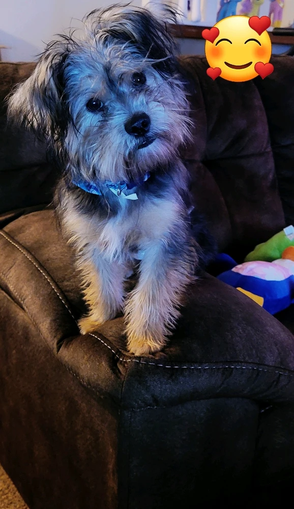 Image uploaded by Sol