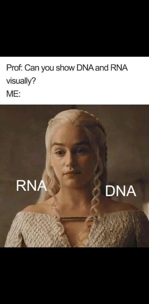 GIF hochgeladen von Danilo