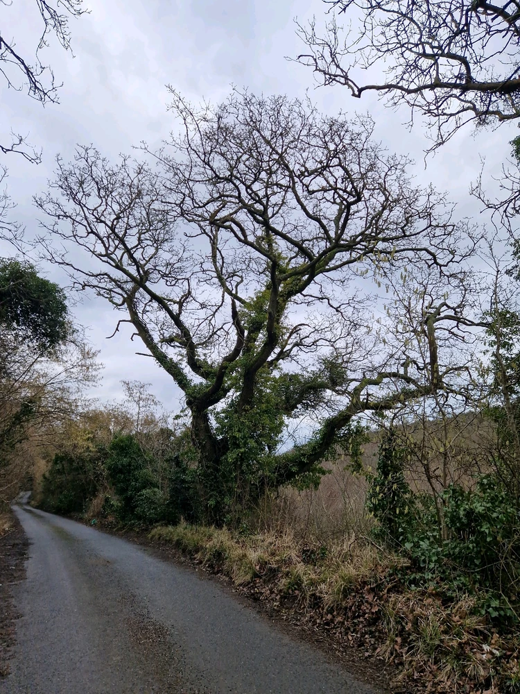 GIF uploaded by Gemma