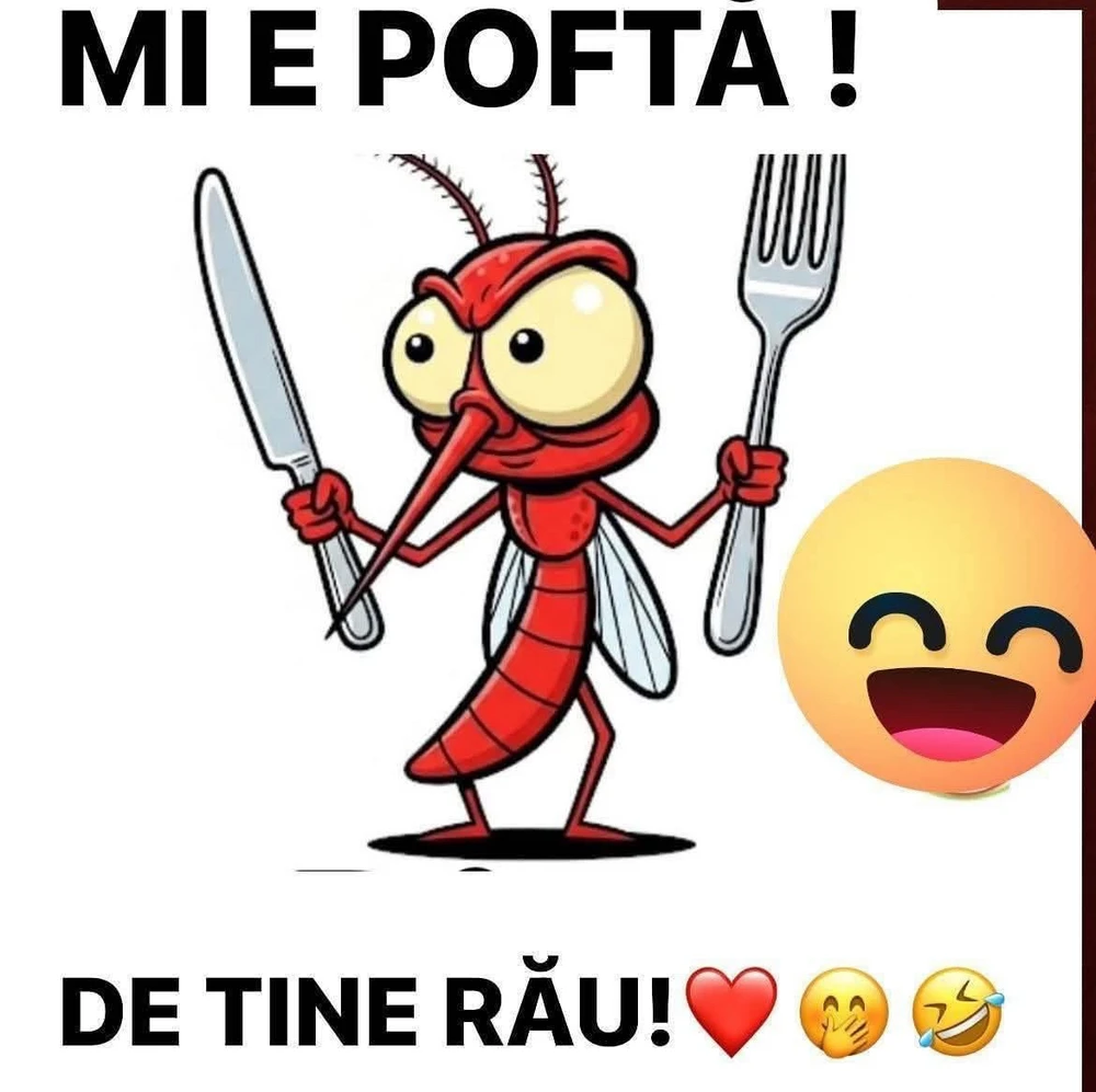 GIF încărcat de Lucian