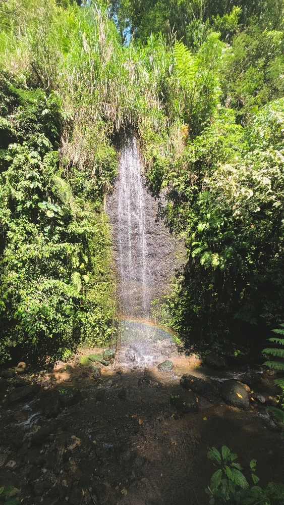 Image uploaded by Yanny