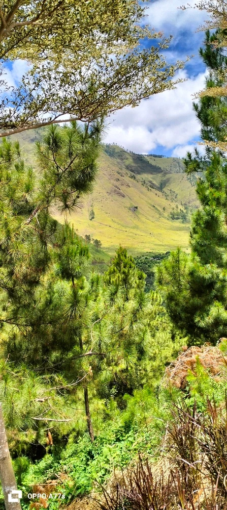 GIF diunggah oleh Mj