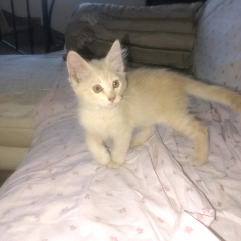 GIF subido por Emi