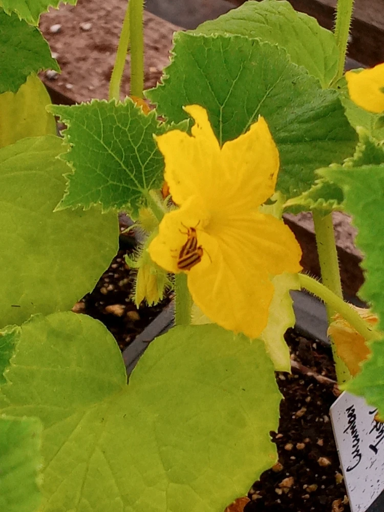 Image uploaded by Brooke