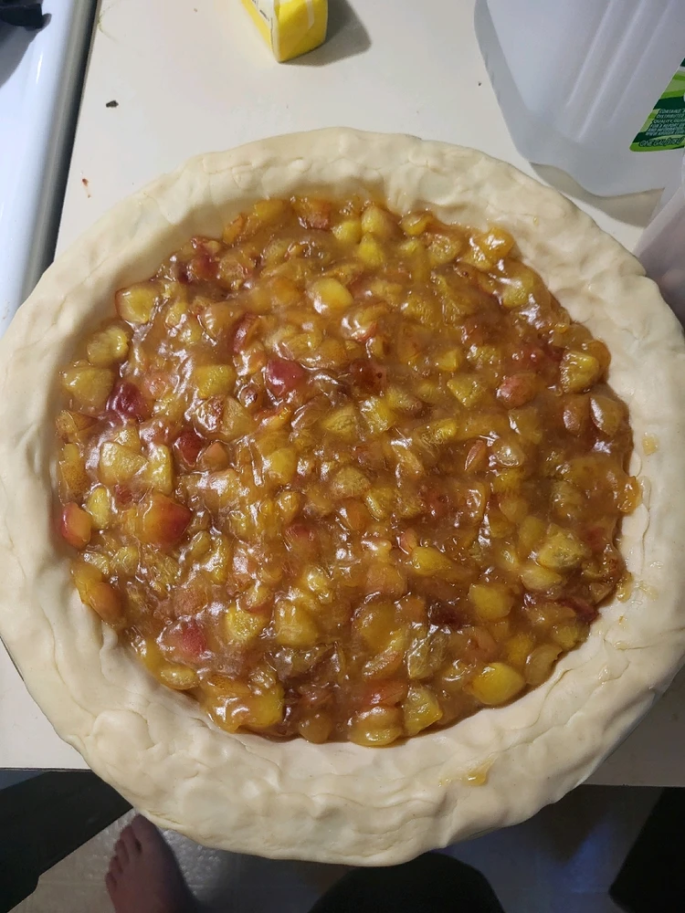 Image uploaded by Dylan