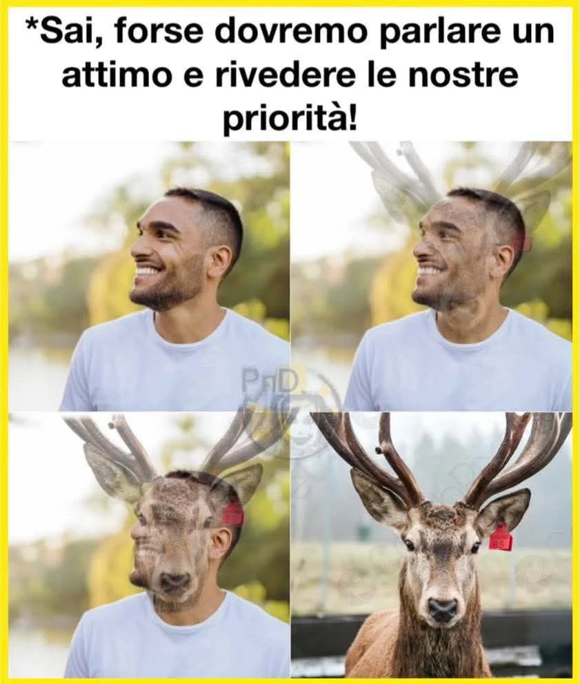 GIF caricata da Simone