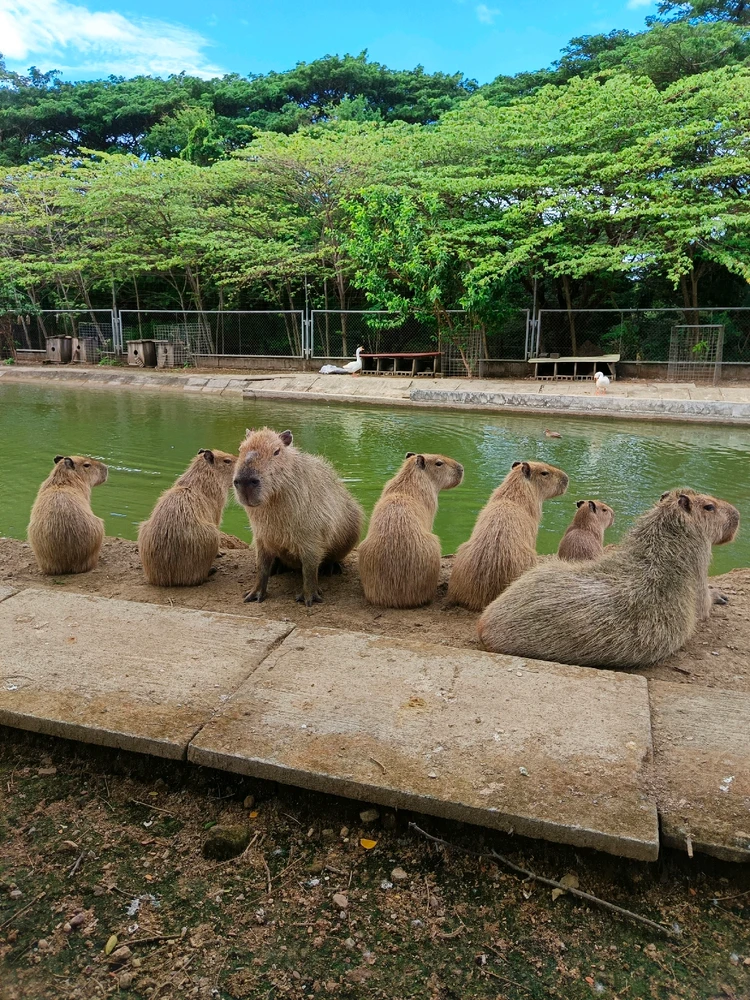 I-upload ni Ei ang larawan