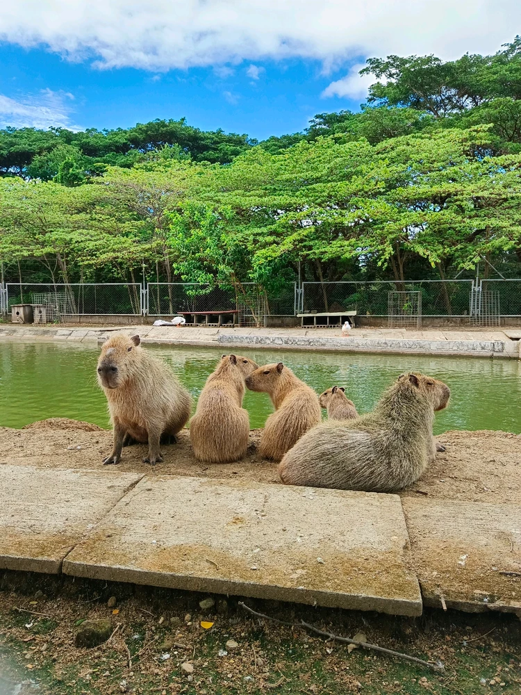 I-upload ni Ei ang larawan