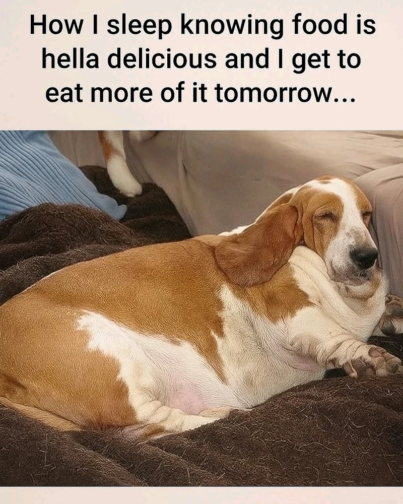 GIF uploaded by 𝕁ℝ𝕫🖤😈👻