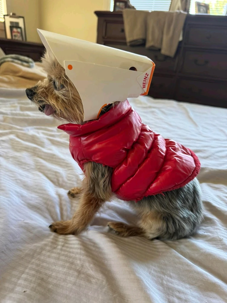 GIF hochgeladen von Detta Walker