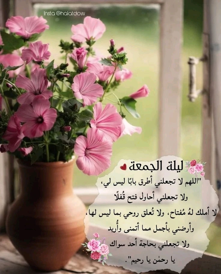 GIF رفعها MALEK