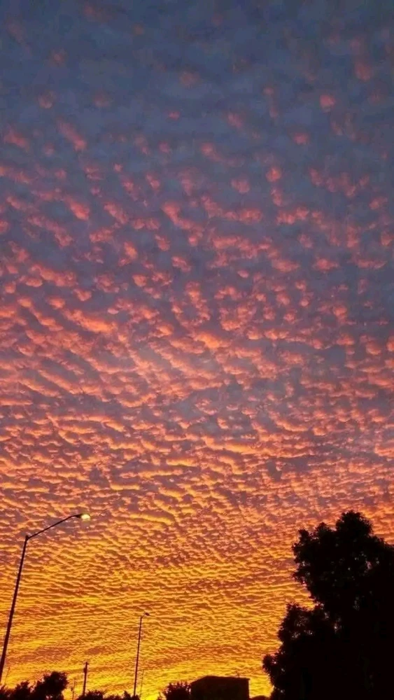 Good morning, living pieces of art 💜