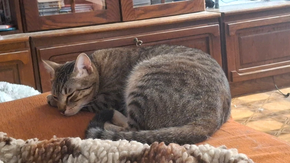 GIF dodany przez Norbert