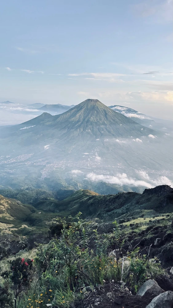 Image uploaded by jule