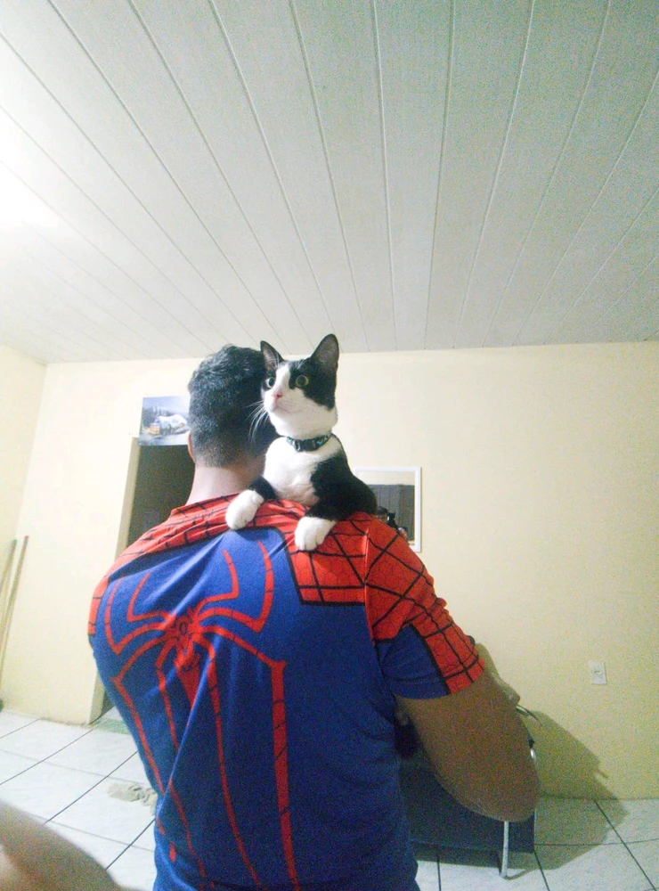 GIF enviado por Thiago