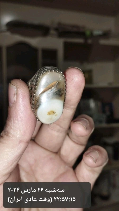 GIF آپلود شده توسط Omid shahgoliy