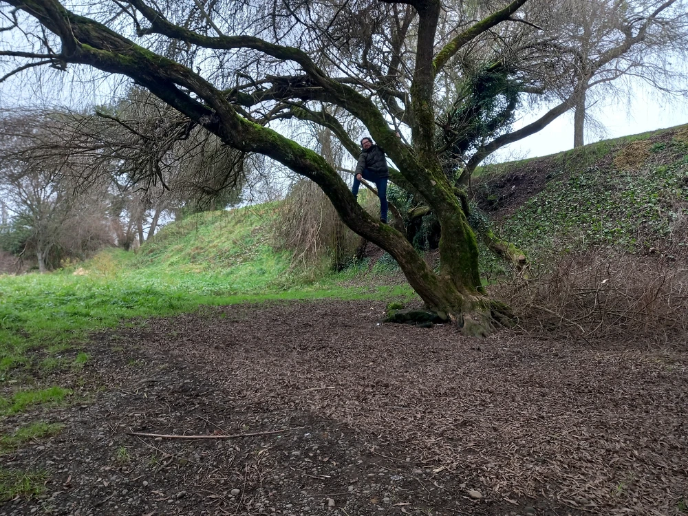 Imagen subida por Abel