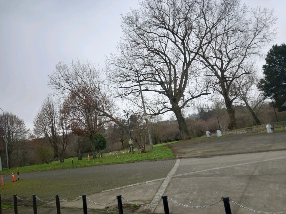 Imagen subida por Abel