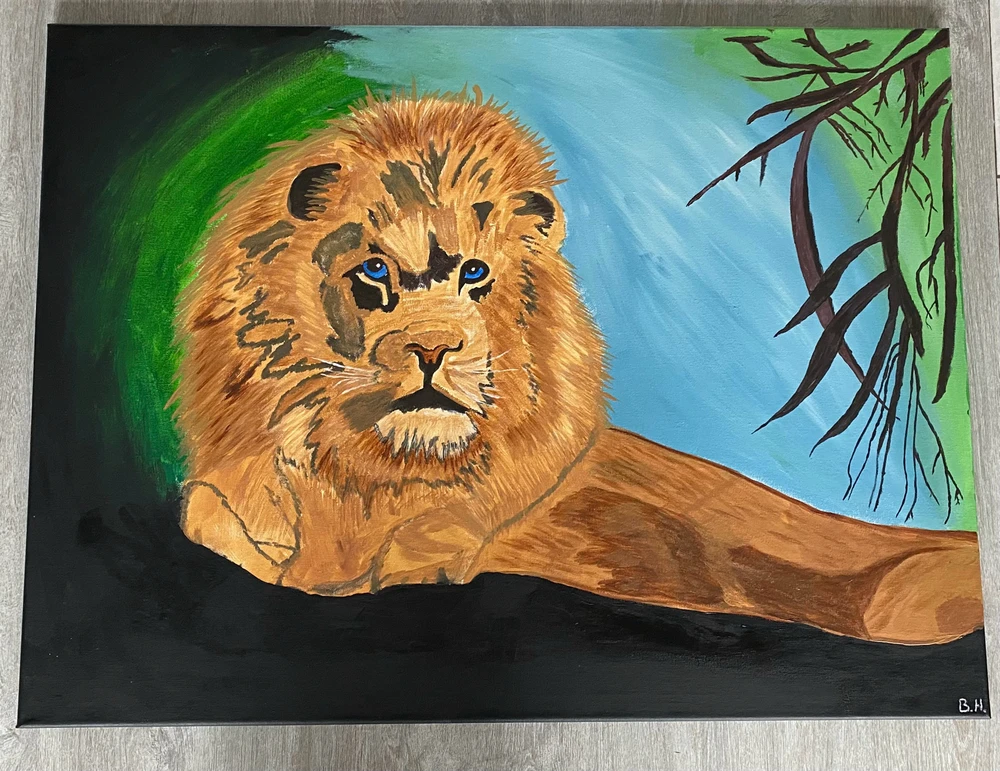 Afbeelding geüpload door Björn